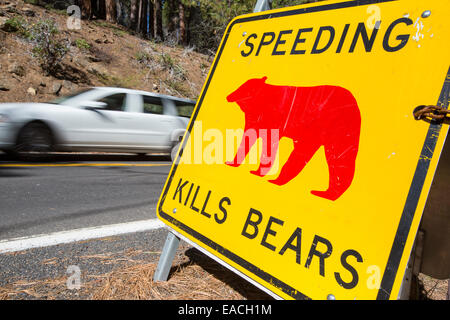 Un giallo Spped uccide porta segno nel Parco Nazionale di Yosemite, ogni segno segna un punto in cui un orso è stato ucciso da traffico, California, USA. Foto Stock