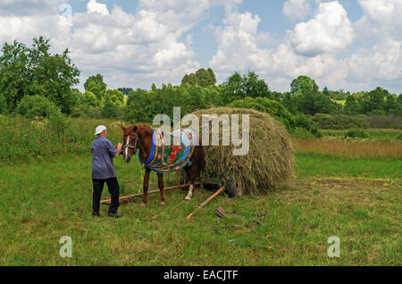 Essiccazione del fieno, trasporto e haystacks per mucche e cavalli nel villaggio. Foto Stock