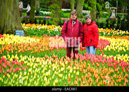 I visitatori in un giardino di Keukenhof Foto Stock