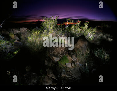 I petroglifi dei tre fiumi, situati nel New Mexico, sono una notevole collezione di incisioni rupestri preistoriche create dal popolo Jornada Mogollon. Il sito contiene oltre 21.000 incisioni rupestri, rendendolo una delle più grandi collezioni di arte rupestre del sud-ovest. Foto Stock