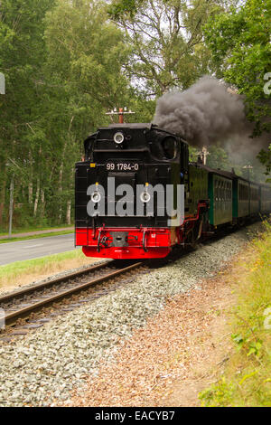 Rügensche Bäderbahn o Rasender Roland ferrovia a scartamento ridotto, Rügen, Meclemburgo-Pomerania, Germania Foto Stock