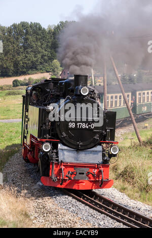 Rügensche Bäderbahn o Rasender Roland ferrovia a scartamento ridotto, Rügen, Meclemburgo-Pomerania, Germania Foto Stock