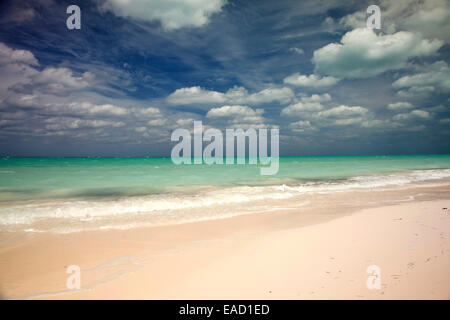 Spiaggia, Cayo Levisa, Pinar del Río Provincia, Cuba Foto Stock