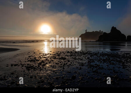 Tramonto al Ruby Beach, Parco Nazionale di Olympic, Washington, Stati Uniti Foto Stock