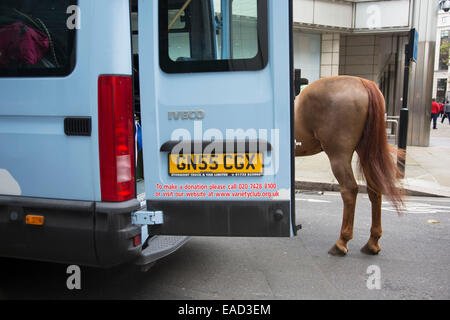 Cavallo dopo il signore sindaco di spettacolo, una delle più vecchie di eventi annuali, risalente al XVI secolo. City of London Foto Stock