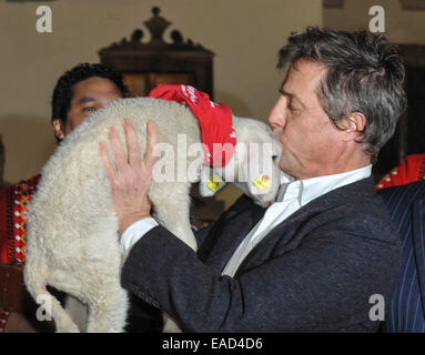 Henndorf vicino a Salisburgo, Austria. 11 Novembre, 2014. Attore britannico Hugh Grant detiene un agnello su 11 Novembre 2014 all'apertura dei mercati di Natale a Aiderbichl Estate in Henndorf vicino a Salisburgo, Austria. Credito: dpa picture alliance/Alamy Live News Foto Stock