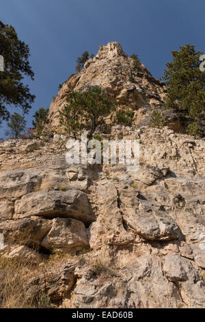 Spearfish Canyon, Black Hills National Forest, SD, STATI UNITI D'AMERICA Foto Stock