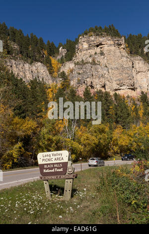 Spearfish Canyon, Black Hills National Forest, SD, STATI UNITI D'AMERICA Foto Stock