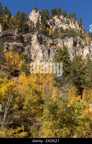 Spearfish Canyon, Black Hills National Forest, SD, STATI UNITI D'AMERICA Foto Stock