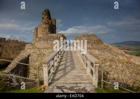 Il castello di Montgomery, MONTGOMERY, POWYS, GALLES Foto Stock