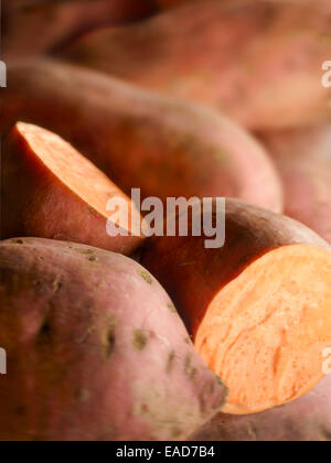 La patata dolce, Ipomoea batatas, rosso oggetto. Foto Stock