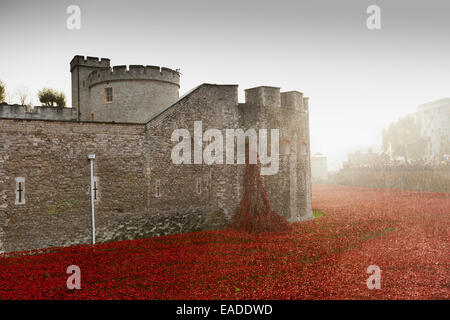 Il sangue spazzata di terre e mari del display rosso presso la Torre di Londra Foto Stock