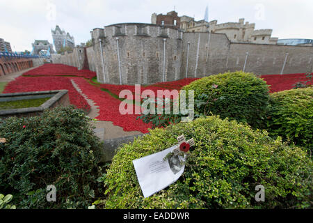Il sangue spazzata di terre e mari del display rosso presso la Torre di Londra Foto Stock