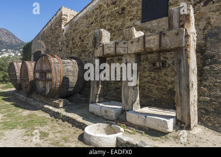 Azienda vitivinicola Coll de Roses, Spagna Catalogna, Rose Foto Stock