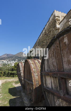 Azienda vitivinicola Coll de Roses, Spagna Catalogna, Rose Foto Stock