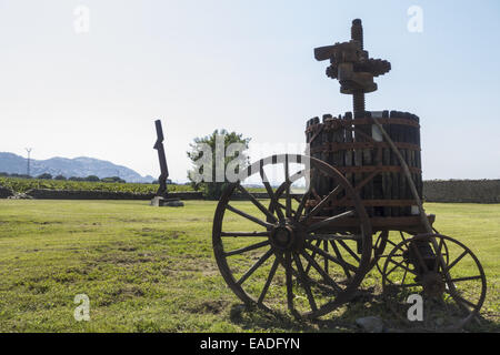 Azienda vitivinicola Coll de Roses, Spagna Catalogna, Rose Foto Stock