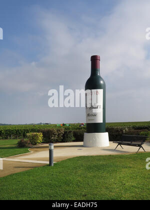 Bottiglia di promozione del vino a St Julien vigneto in Bordeaux. Foto Stock