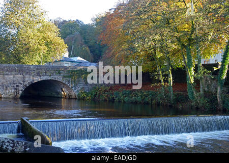 Salti di salmone sul fiume Tavy a Tavistock in Devon, Regno Unito Foto Stock