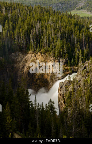 Yellowstone superiore cascate del fiume Yellowstone nel Parco Nazionale di Yellowstone come visto dal bordo settentrionale durante la molla pesante f Foto Stock