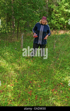 Giornata di sole nella foresta di pini glade. La donna raccoglie fragole. Foto Stock