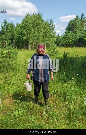 Giornata di sole nella foresta di pini glade. La donna raccoglie fragole. Foto Stock