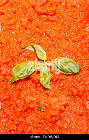 Pap con salsa di pomodoro in una tradizionale ricetta toscana con foglia di basilico Foto Stock