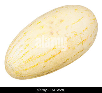 Giallo Melone Uzbek-Russian (mirzachul melone, gulabi melone, siluro melone) isolati su sfondo bianco Foto Stock