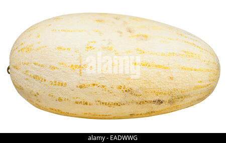 Uzbek-Russian melone (mirzachul melone, gulabi melone, siluro melone) isolati su sfondo bianco Foto Stock