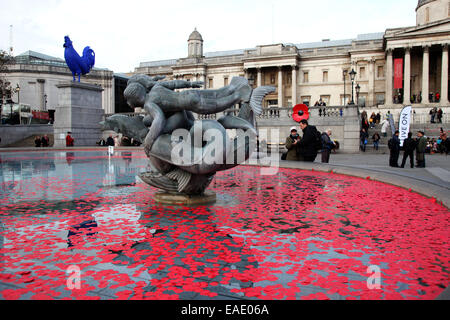 Londra, Regno Unito. 11 Novembre, 2014. Il giorno dell'armistizio: papaveri flottante in una fontana in Trafalgar Square a Londra, Regno Unito. Questo anno segna anche il 100° anniversario dell'inizio della Prima Guerra Mondiale. Credito: Paolo Marriott/Alamy Live News Foto Stock