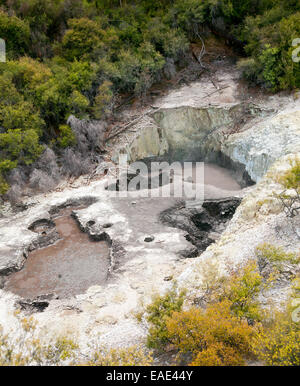 Del diavolo pentole di inchiostro piscine al Wai-O-Tapu area geotermica in Nuova Zelanda Foto Stock