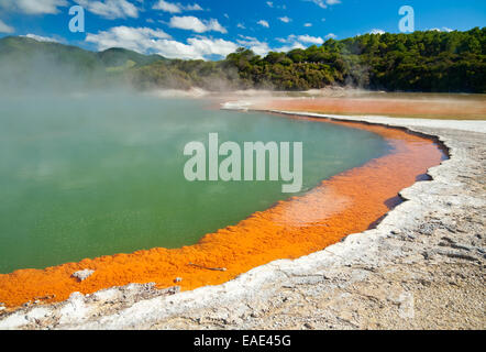 Champagne Piscina al Wai-O-Tapu area geotermica in Nuova Zelanda Foto Stock