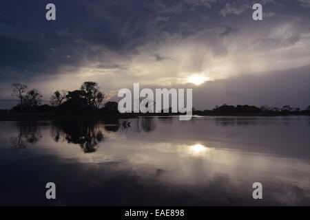 Sera in una parte allargata del Amazon o Rio Solimões, Mamiraua lo sviluppo sostenibile Riserva, vicino a Manaus, Amazonas Stato Foto Stock