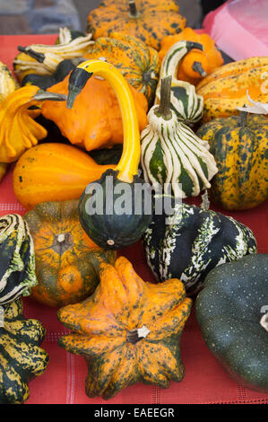 Zucche ornamentali su Ethno Fair posizionato sul tavolo come mostre. Foto Stock