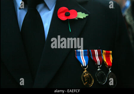 9 novembre 2014; GB, UK, Inghilterra, Londra, Torre di Londra, commemorazione centenaria della Prima Guerra Mondiale, "per mare, Per Terram, 'via mare, via terra' il Cenotafio. Foto Stock