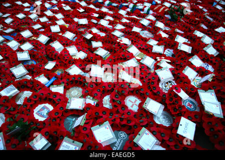 9 novembre 2014; GB, UK, Inghilterra, Londra, Torre di Londra, commemorazione centenaria della Prima Guerra Mondiale, "per mare, Per Terram, 'via mare, via terra' il Cenotafio. Foto Stock