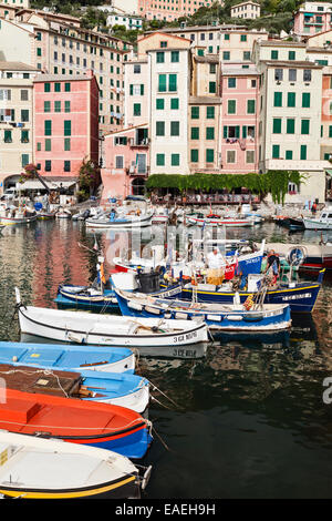 Camogli porto, Liguria, Italia Foto Stock