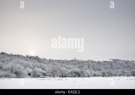 Bagliore di luce solare in un grigio cielo d'inverno. Un paesaggio innevato di boschi e campi. Foto Stock