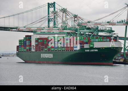 Un terminal merci a Los Angeles Docks Foto Stock