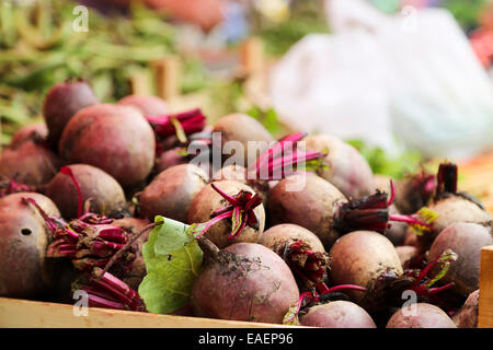 Barbabietola sul mercato degli agricoltori Foto Stock