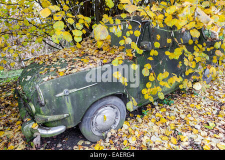 Auto abbandonate, relitto, cecoslovacco di vecchia auto Skoda 1000 MB, coperto la caduta di foglie di autunno Foto Stock
