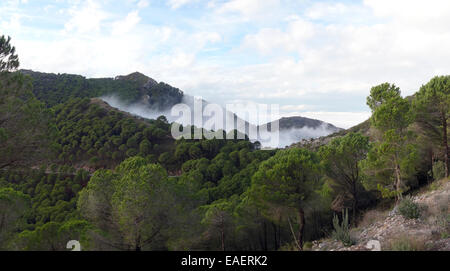 Basse nuvole stratus spinto fino in montagne di Mijas, nebbia nebbia. Andalusia. Spagna. Foto Stock