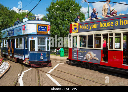 Seaton servizio di tram Foto Stock