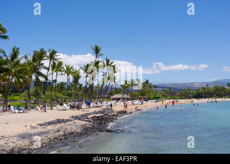 Una spiaggia, Waikoloa, Hawaii, STATI UNITI D'AMERICA Foto Stock