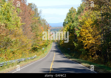 Strada e alberi colorati in Michigan settentrionale durante l'autunno. Foto Stock