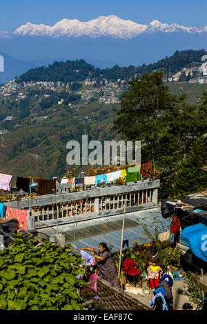 Darjeeling e Kangchenjunga montagna himalayana da Tiger Hill, Darjeeling, West Bengal, India Foto Stock