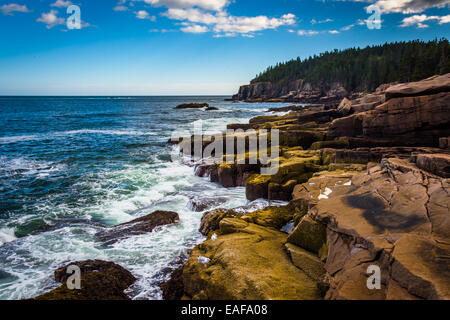 Otter scogliere e l'Oceano Atlantico nel Parco Nazionale di Acadia, Maine. Foto Stock