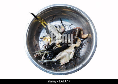 Pollo lesso pizzicata nella ciotola in argento su sfondo bianco Foto Stock