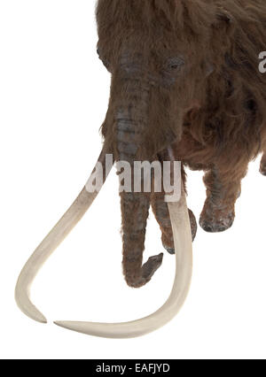 Modello di Ilford Mammoth Foto Stock