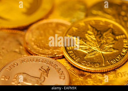 Le piccole monete d oro compresi decimo Krugerrand e Canadian decimo oz Maple Leaf Foto Stock