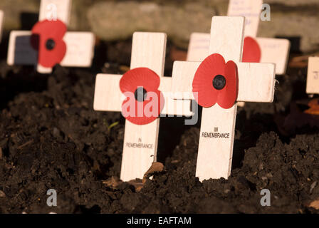 Il papavero croci piantate sul ricordo Domenica a Haslemere War Memorial, High Street, Haslemere, Surrey, Regno Unito. Foto Stock